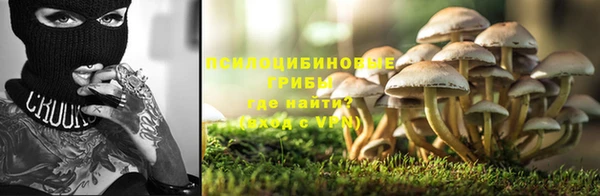 бутират Алексин