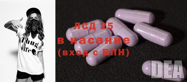 стаф Алзамай