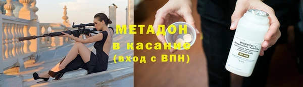 стаф Алзамай