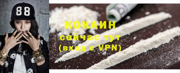 стаф Алзамай