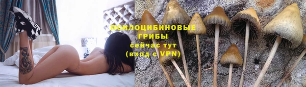 бутират Алексин
